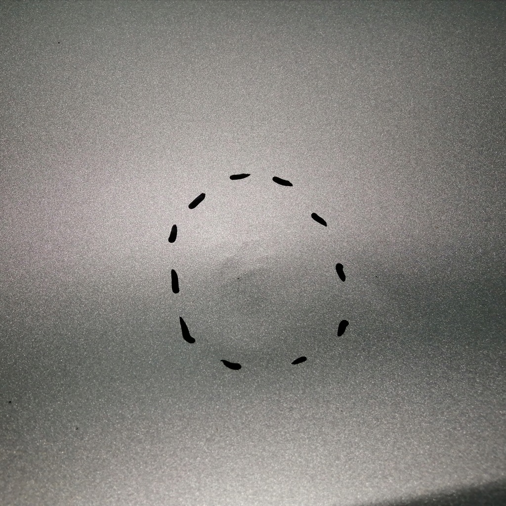 фото №6, Дверь правый перед ford s-max ii mk2 em2b-r20204-ac