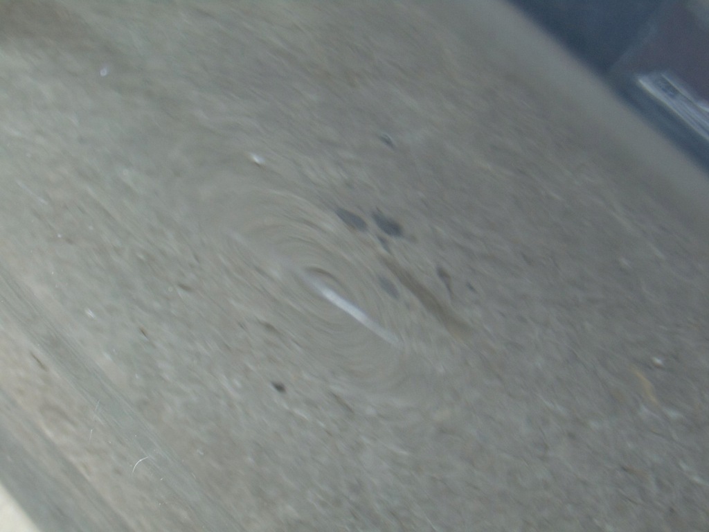 фото №8, Дверь левая перед range rover sport ii l494