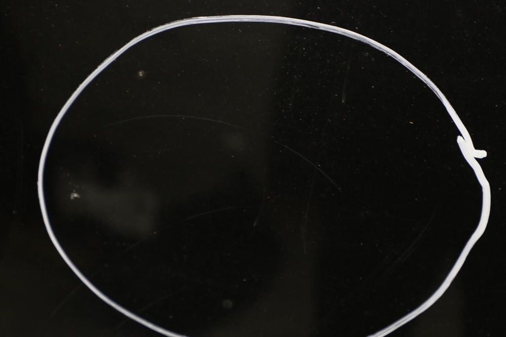 фото №14, Mini r56 капот кришка двигуна astro black