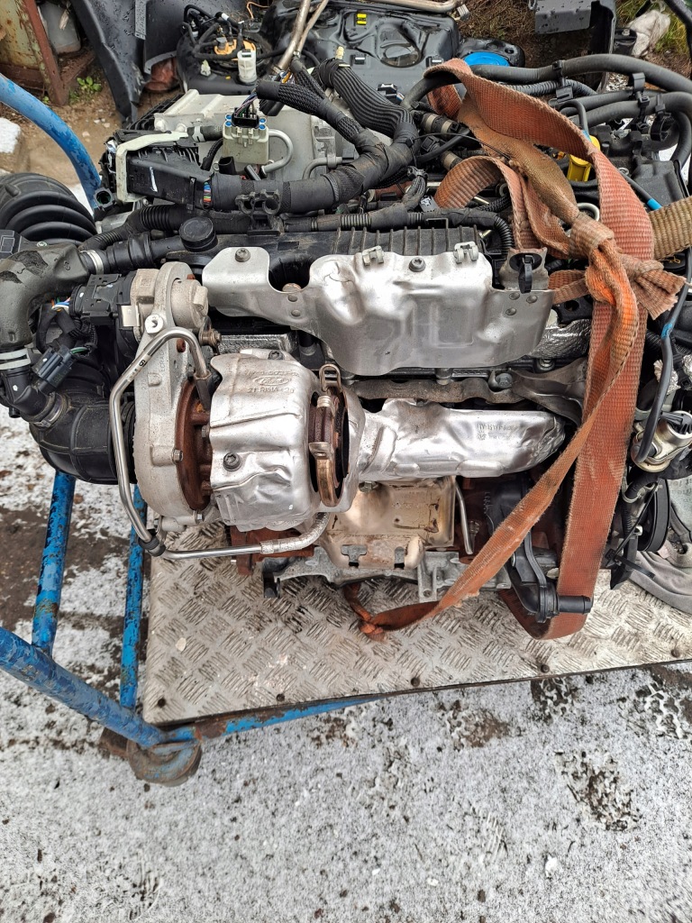 фото №5, Двигун ford kuga mk3 2.0 tdci ecoblue ymda