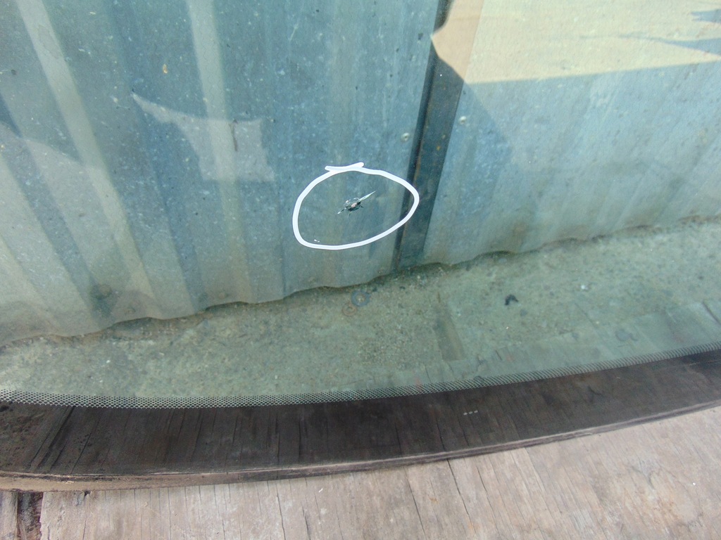 фото №15, Стекло лобовое ford ecosport mk2 lift 2017r