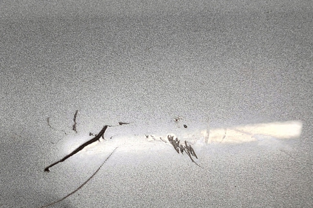 фото №7, Audi a3 sportback 8y задняя крышка багажника багажника спойлер 8y4827933a 2023 25684035