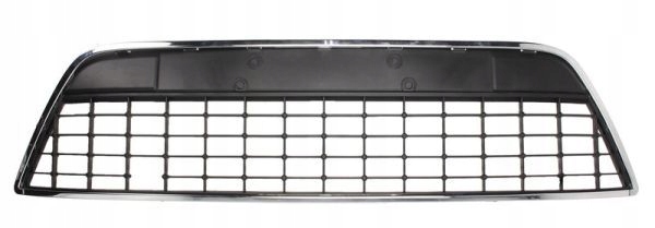 фото №1, Решітка решітка радіатора бампера 6502-07-2556996p blic