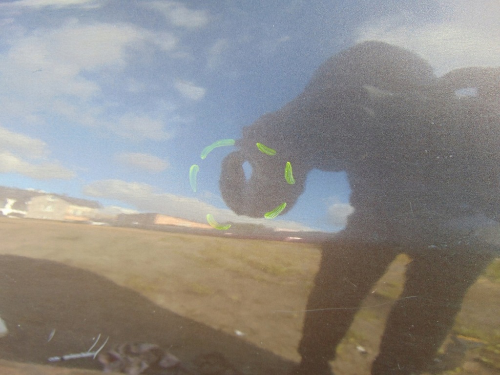 фото №4, Дверь левый задняя kia sportage 2 ii цвет 6d