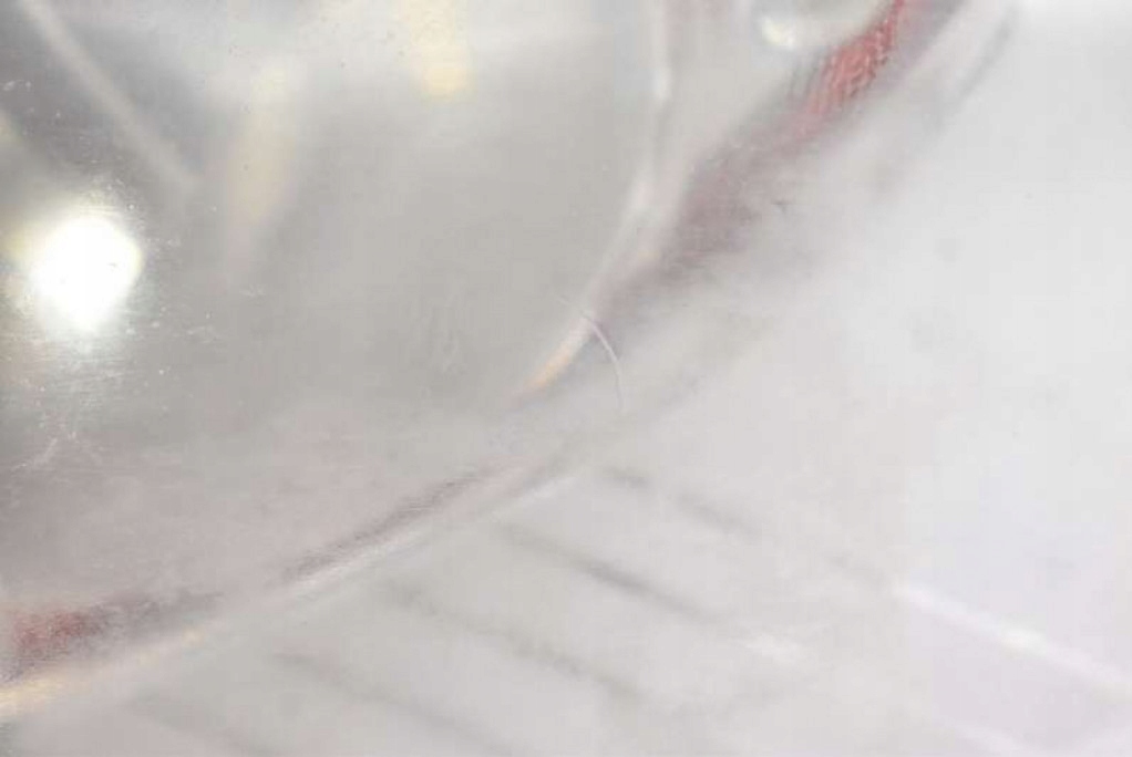 фото №14, Фара правый лампа перед eu 163682r ford s-max mk1 1 i 06-10