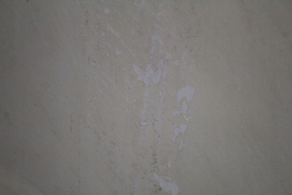 фото №10, Двері ліва задня задні білий mitsubishi l200 06-15