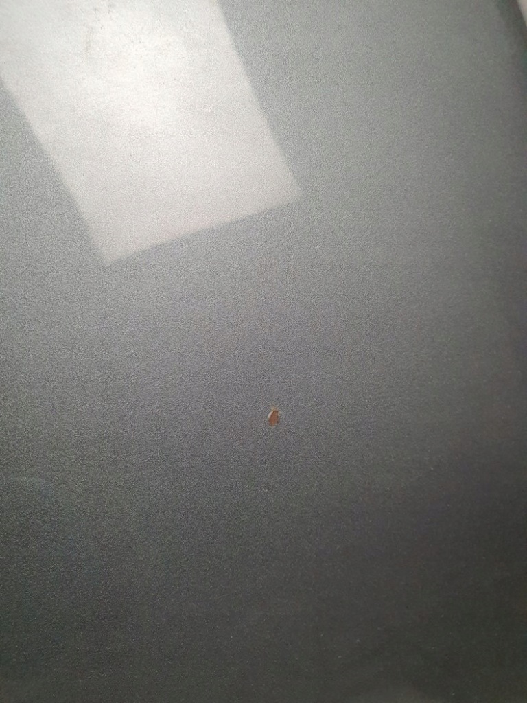 фото №2, Капот chevrolet tahoe ii