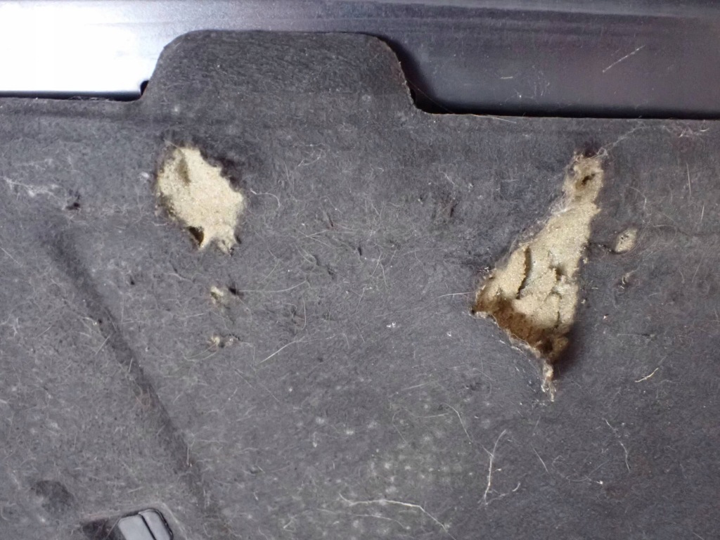 Капот audi a4 s4 b8 8k перед ly9b Оригінал