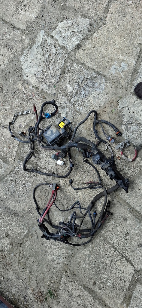 фото №1, Джгут електропроводка двигуна renault scenic iii 1.5 dci