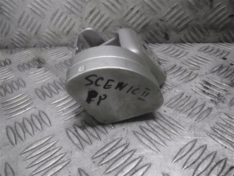 фото №1, Петли дверь правый перед renault scenic ii