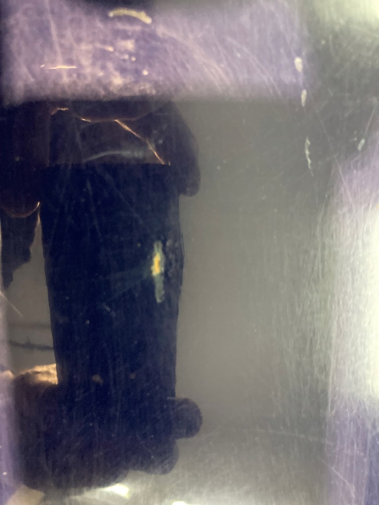 фото №7, Кришка багажника задня skoda octavia iii kombi lf5a