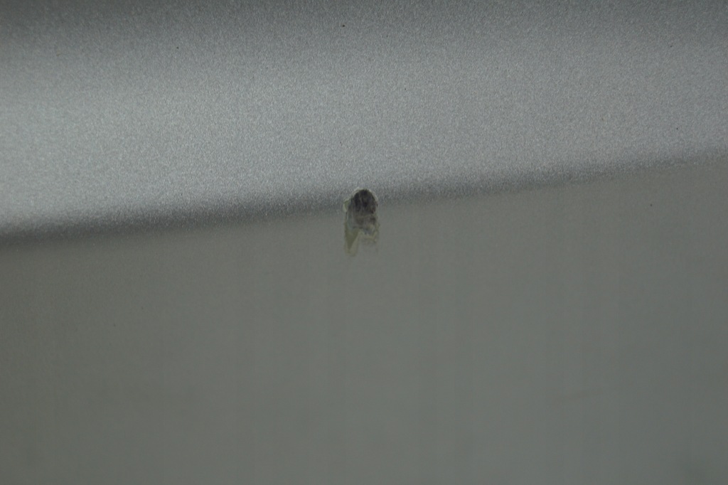 фото №8, Кришка багажника багажника volvo v50 426 org lak