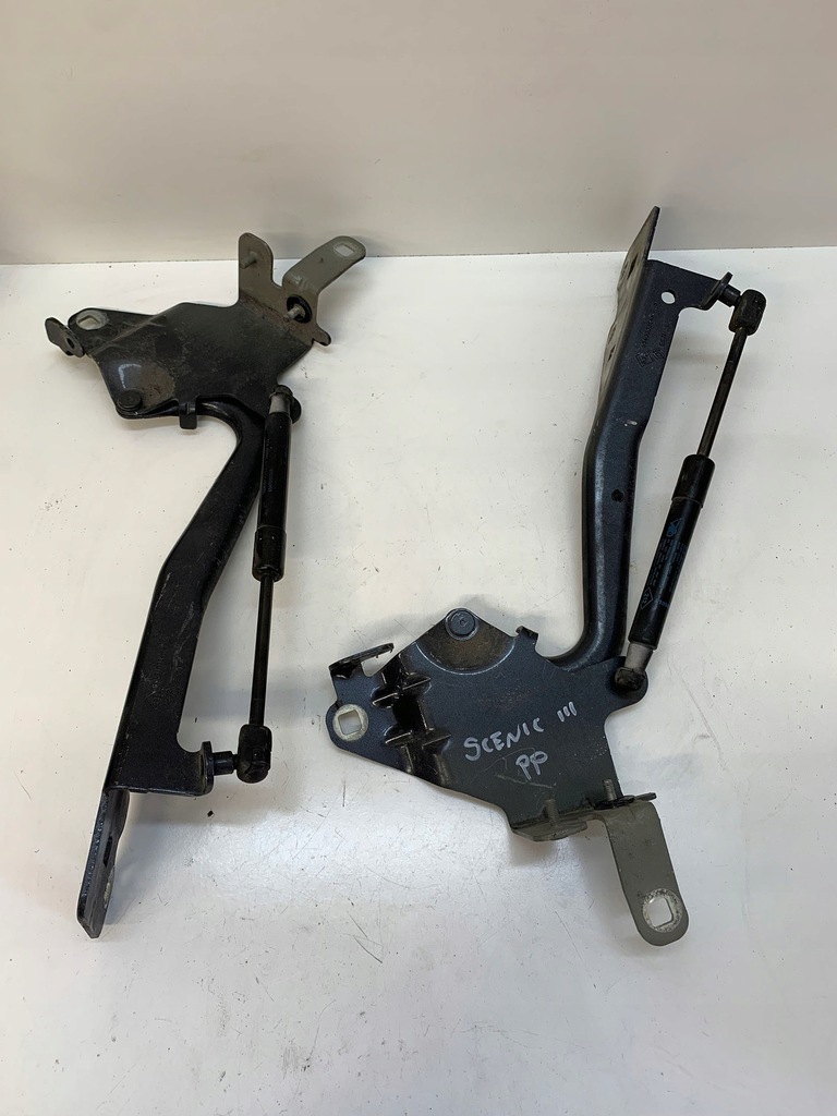 фото №2, Петлі капот renault scenic iii комплект