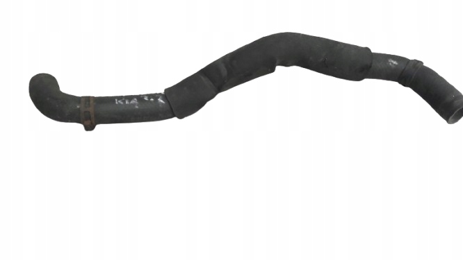 фото №1, Kia carnival 2.2 crdi wąż przewd wody