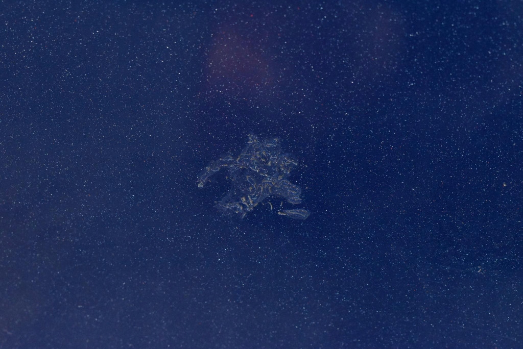 фото №4, Капот крышка двигателя granatowa renault kangoo 2 ii 07-13