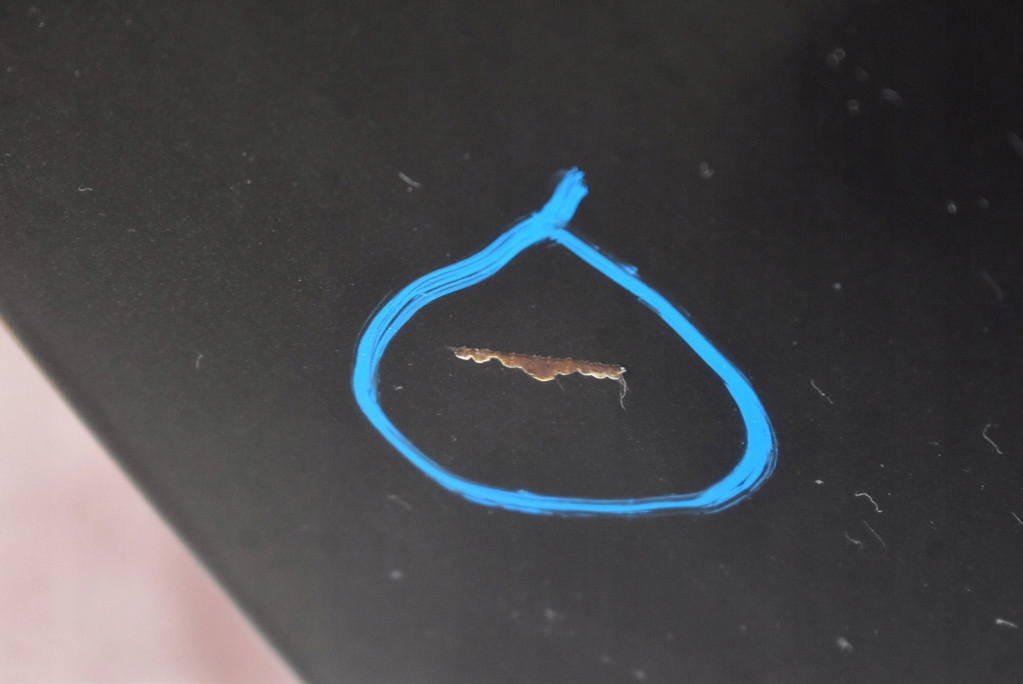 фото №10, Дверь правое задняя задние gar chevrolet cruze 1 i sedan 09-12