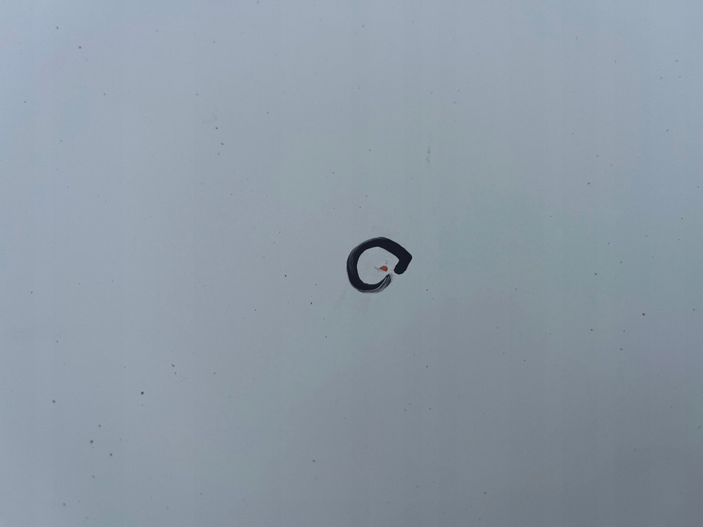 фото №7, Iveco daily vi lift euro 6 2021r дверь створка левая правое низкие h1