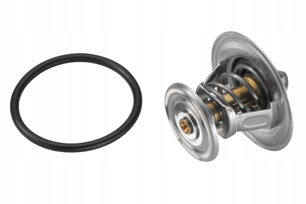 фото №14, Термостат skoda fabia octavia