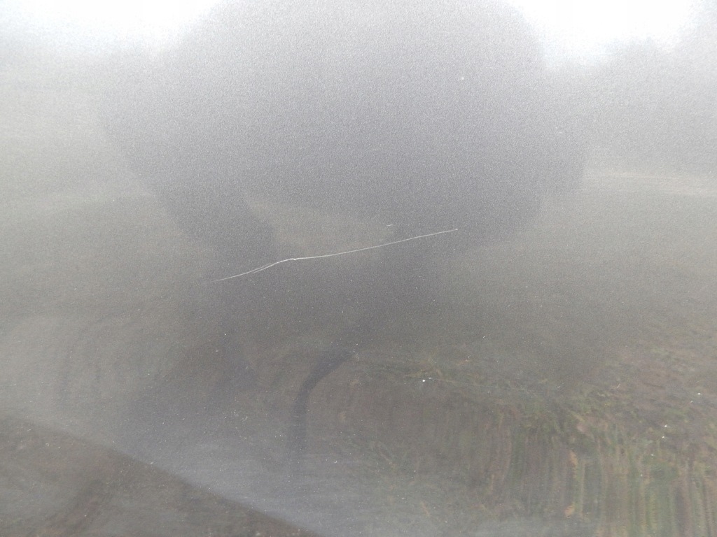 фото №2, Двері праве citroen ds3 crossback ładne