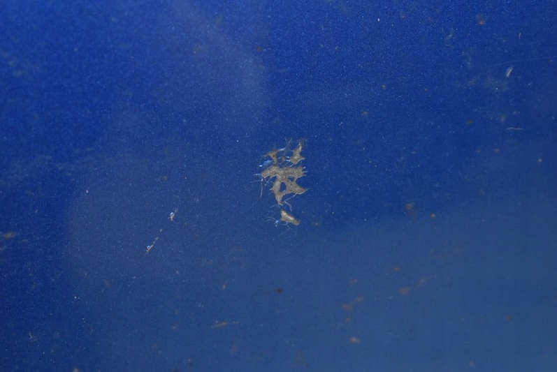 фото №7, Бампер перед передний 27b mazda 3 1 i bk 03-06