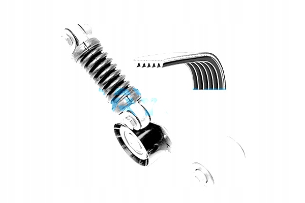 фото №2, Набор ремни многоручейковых с ролики nissan interstar primastar