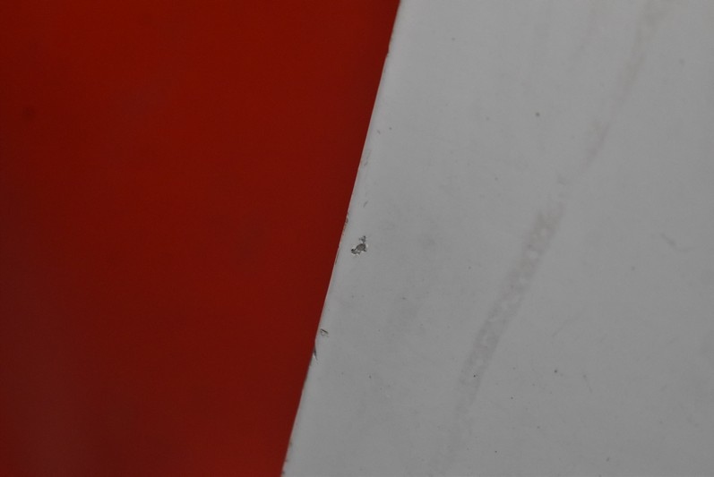 фото №5, Дверь правое перед передние белый dacia sandero 2 ii 12-20