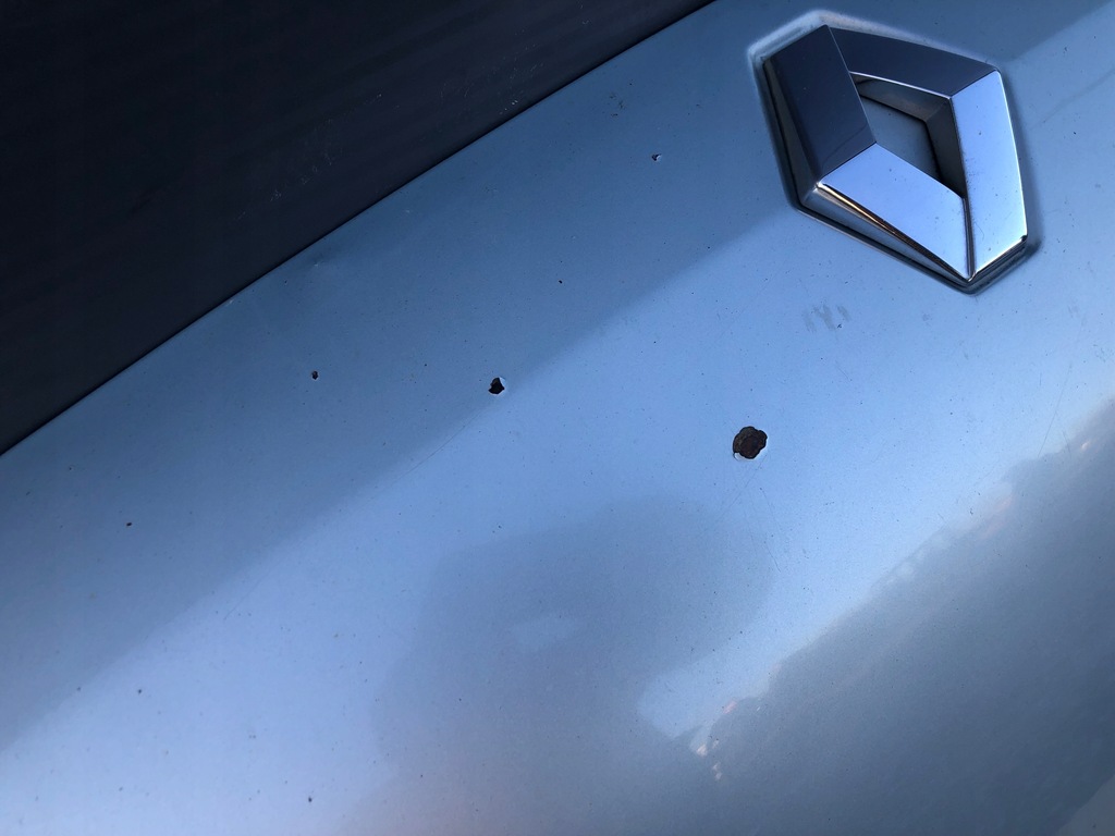 фото №2, Капот крышка багажника передняя renault kangoo i lift 2003-2005