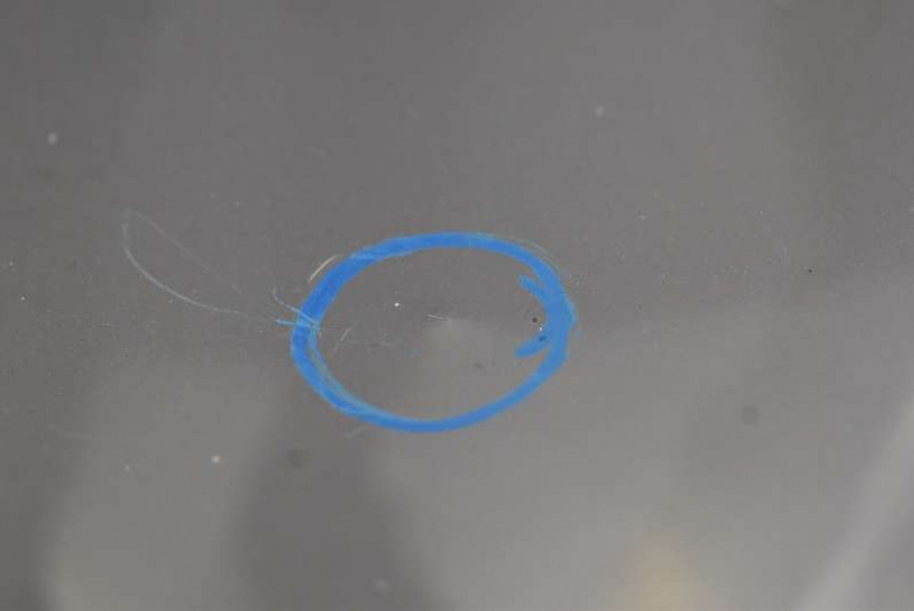 фото №5, Капот крышка двигателя серебристая skoda octavia 1 i lift 00-10