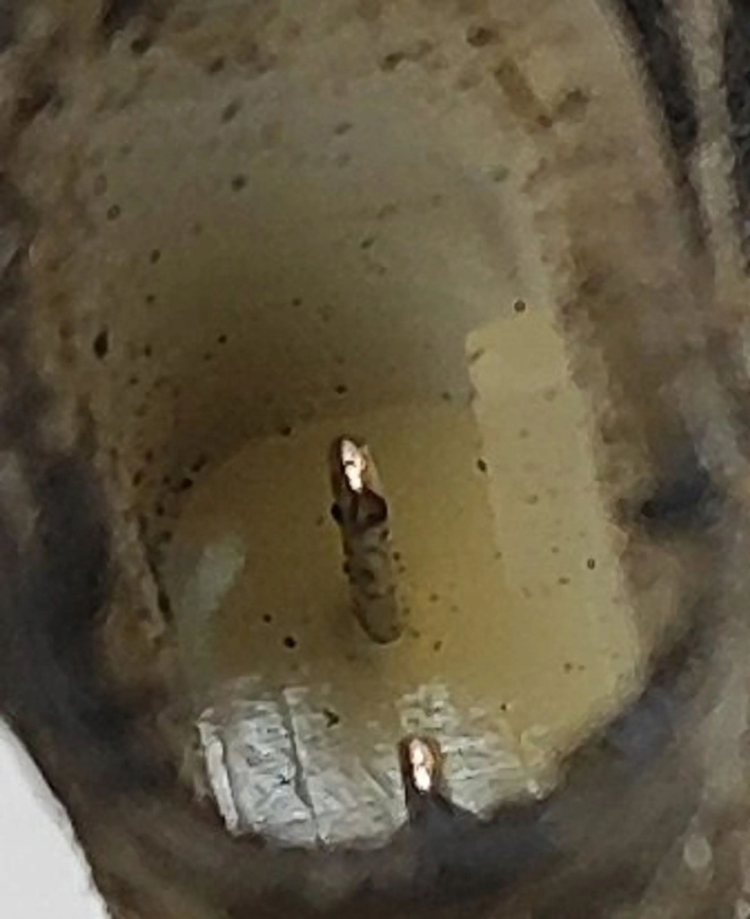 фото №6, Kia ev6 2023 ліва сторона датчик швидкості обертання колеса abs