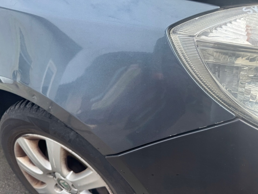 фото №10, Skoda fabia ii крыло правый перед передний lf8j