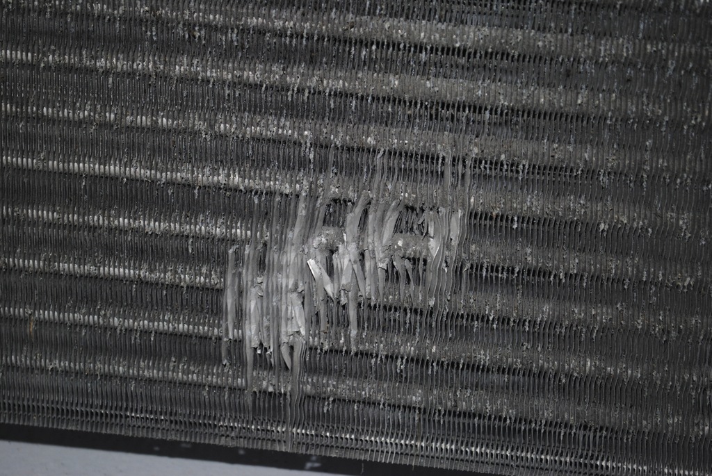 фото №5, Радиатор wody seat toledo iv 6r01212530