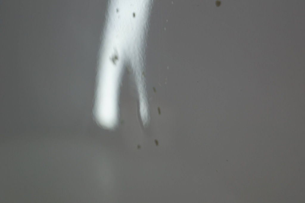 фото №14, Nissan nv200 двері лівий перед d1772