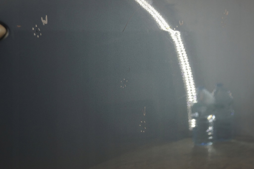 фото №9, Двері правий перед renault scenic iii terpa