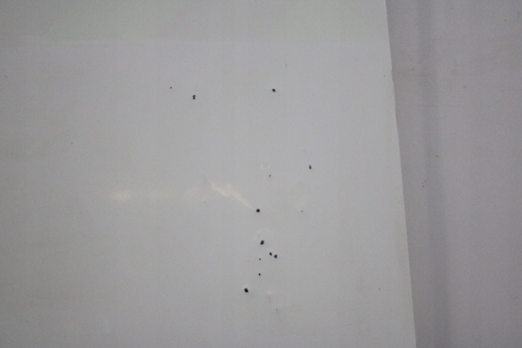 фото №7, Opel combo d fiat doblo ii 10r- двері ліва задні лівий задня 249