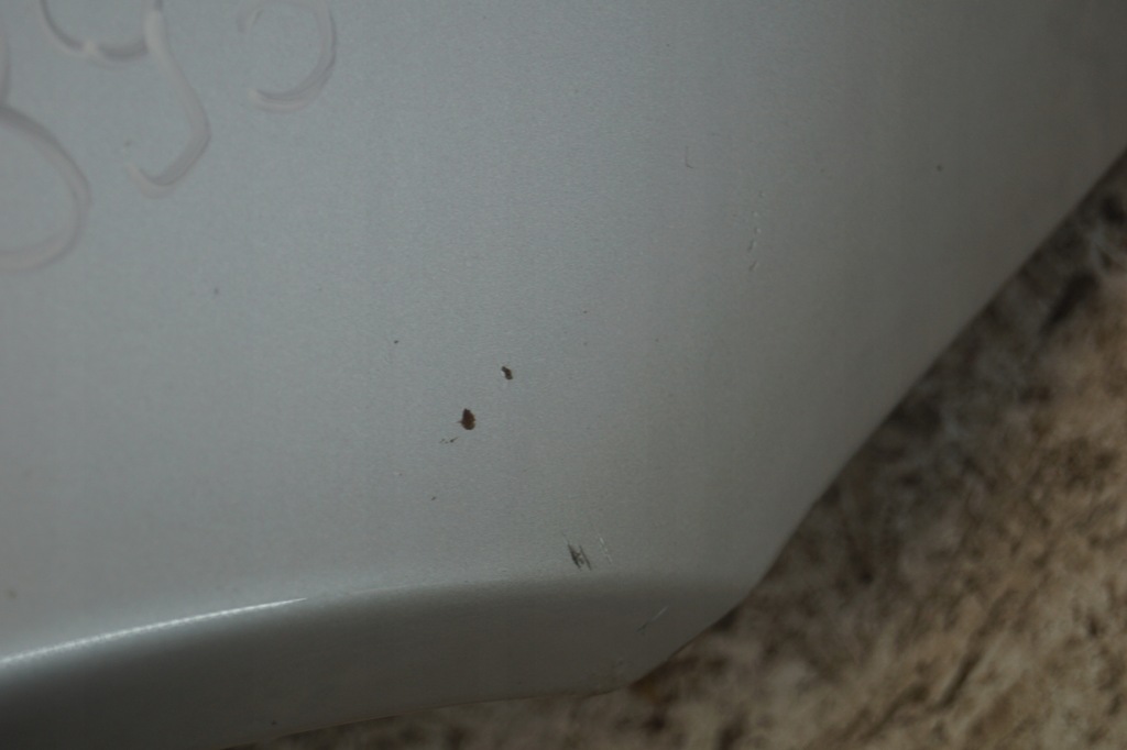 фото №11, Крыло правый перед mercedes c w203