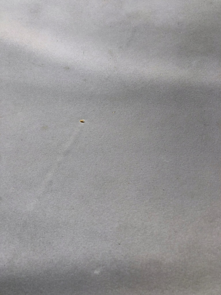 фото №4, Citroen c4 grand picasso 2006-2013 потолок