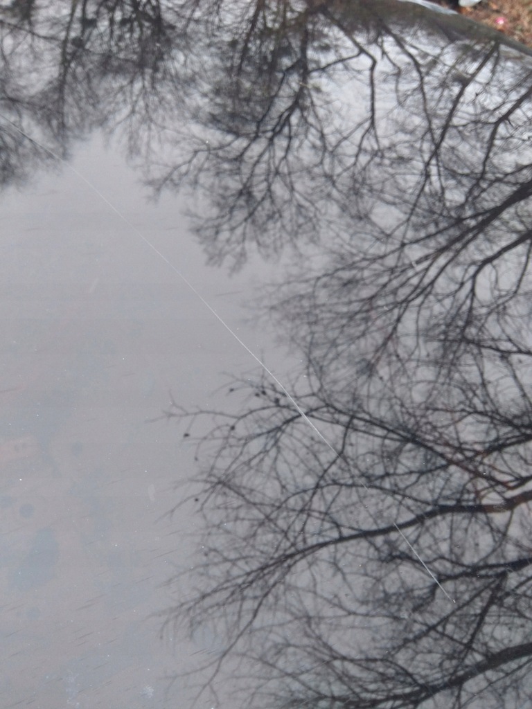 фото №5, Smart fortwo iii 453 дах solar панорама 2014-