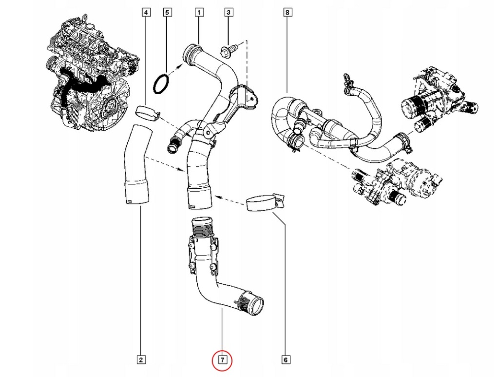 Шланг радіатора оливи renault master 2 .3dci 10- / oe/ renault oe-7701478 Зі Шроту