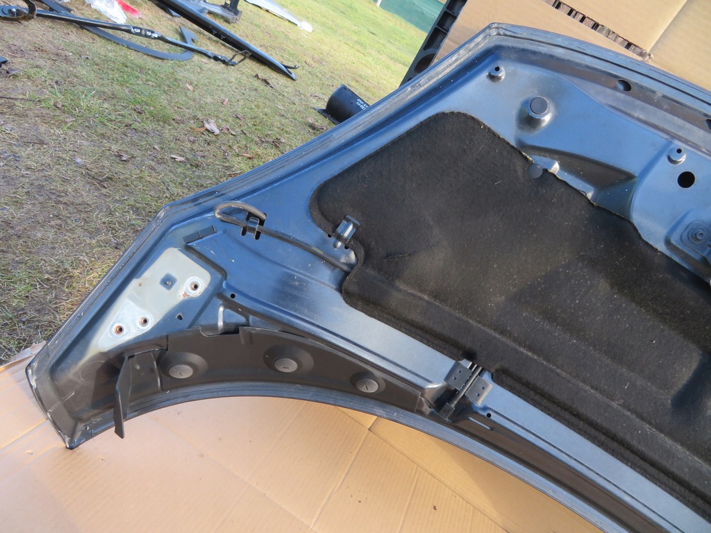 фото №16, Капот двигуна renault scenic iii 11r