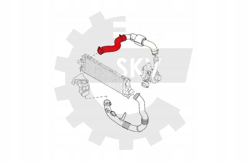 Купити Шланг турбіни renault traffic 2.5 dci