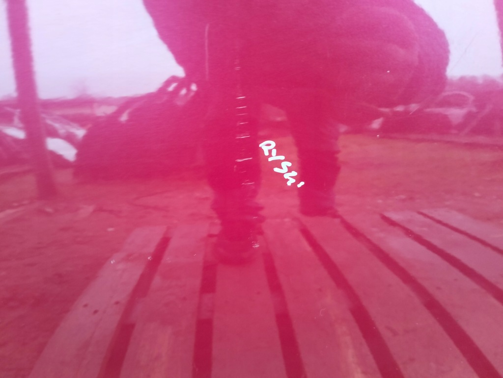 фото №8, Дверь правое ford ka ii mk2 цвет 79 lata 2008-2016 3 дверь