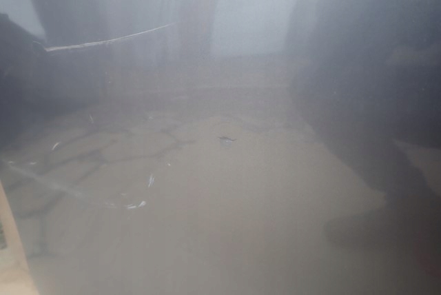 фото №7, Двері праве зсувні expert jumpy proace 16-