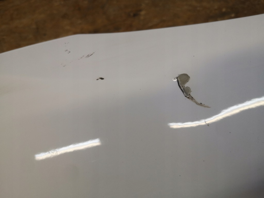 фото №11, Ford ranger iv lift крила правий перед