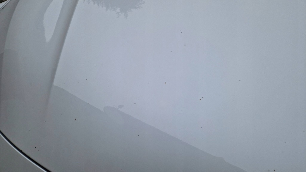 фото №9, Bmw 4 f36 grand coupe 14-21 капот кришка двигуна шумоізоляція a96