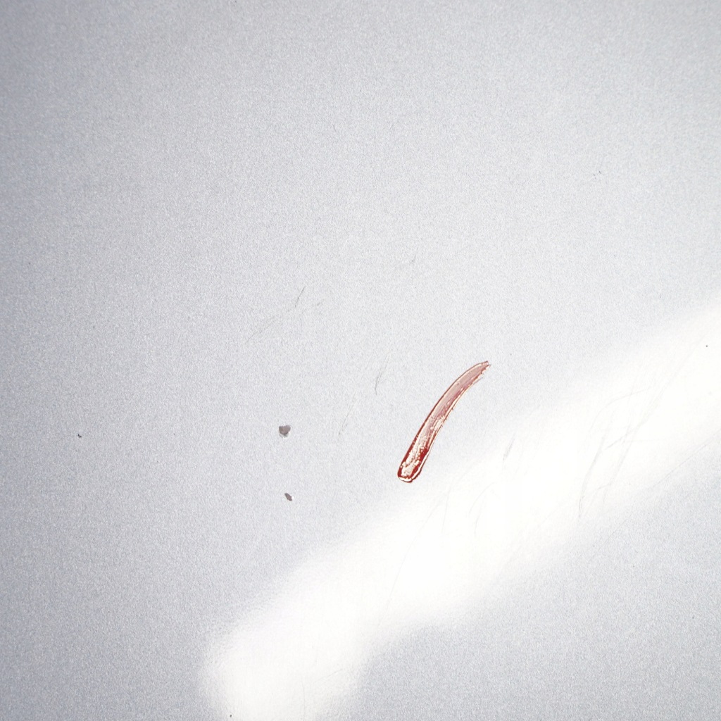 Купити Bmw e90 e91 lci капот двигуна bluewater - 896