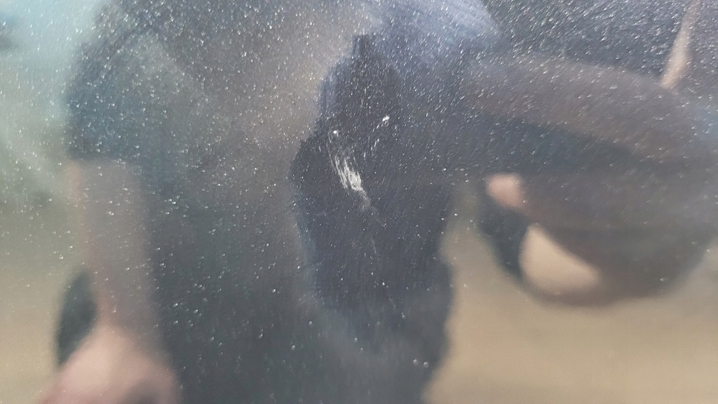 фото №6, Mercedes eqe w295 350+ 23r дверь правое перед a2957222400