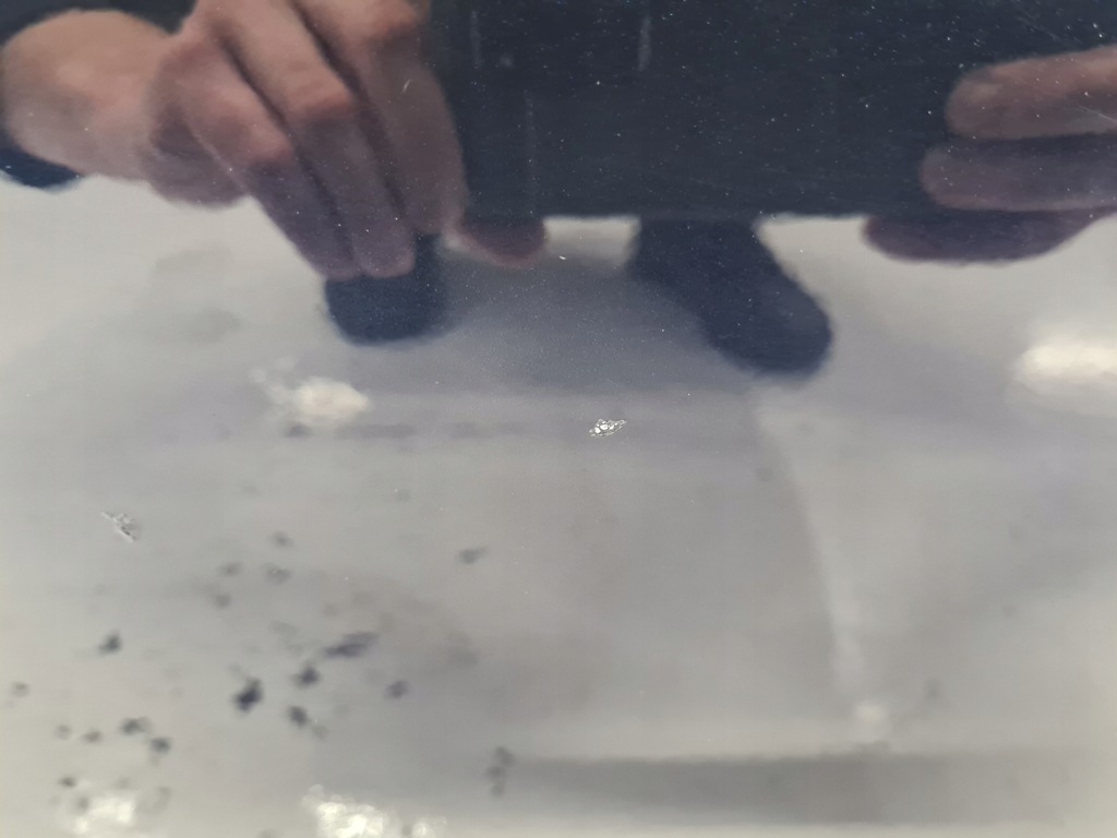 фото №6, Bmw 5 f10 дверь правый задняя a89