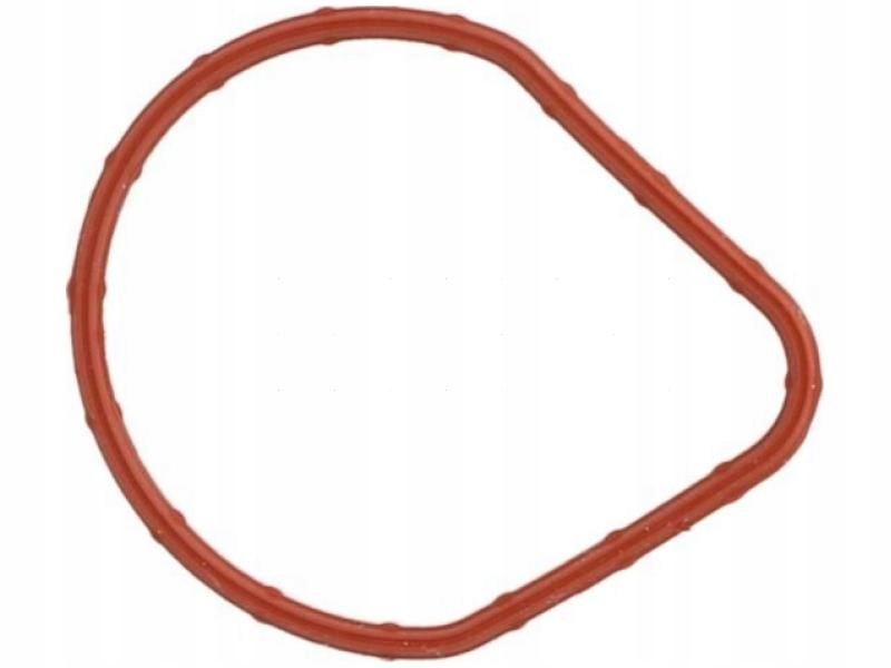 фото №1, Прокладка, корпус термостата nissan