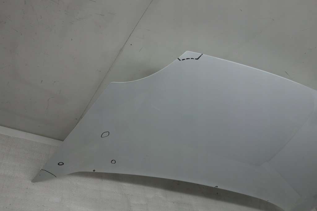 фото №3, Капот renault kangoo ii 08-13 цвет - 369