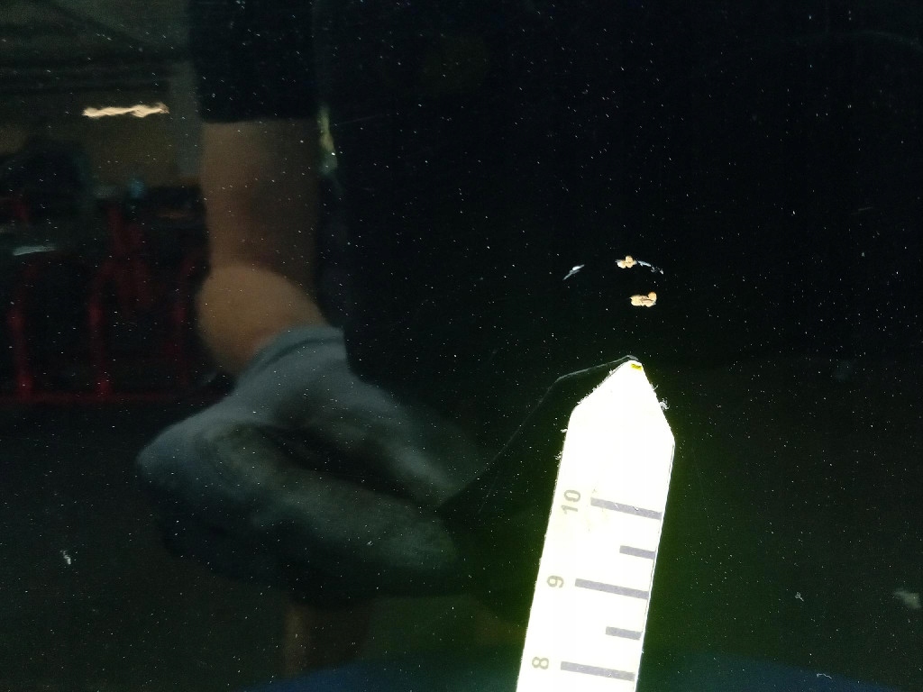 фото №7, Mitsubishi outlander iii lift дверь перед левая передние x40